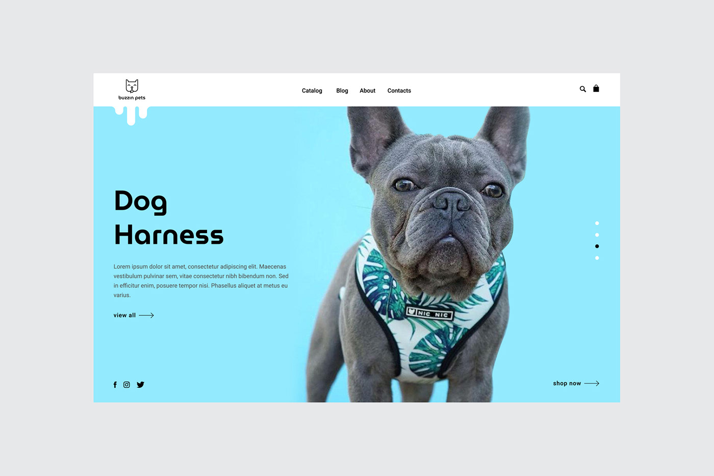 brand identity dogs logo Packaging pets visual identity Website
