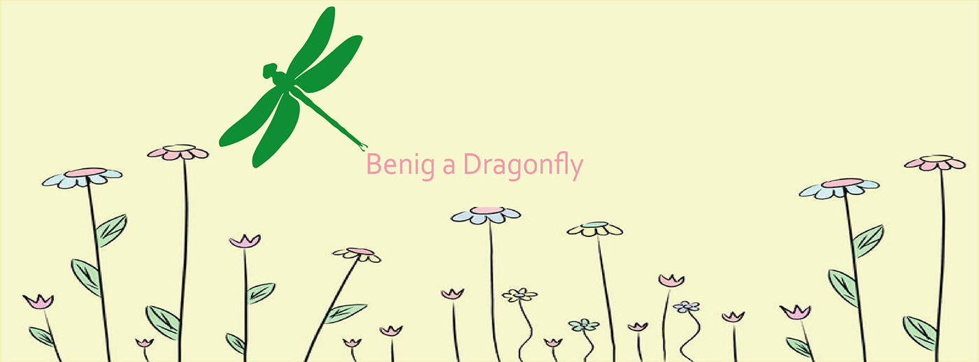 design dragon dragonfly Fly graphic design  ILLUSTRATION 
