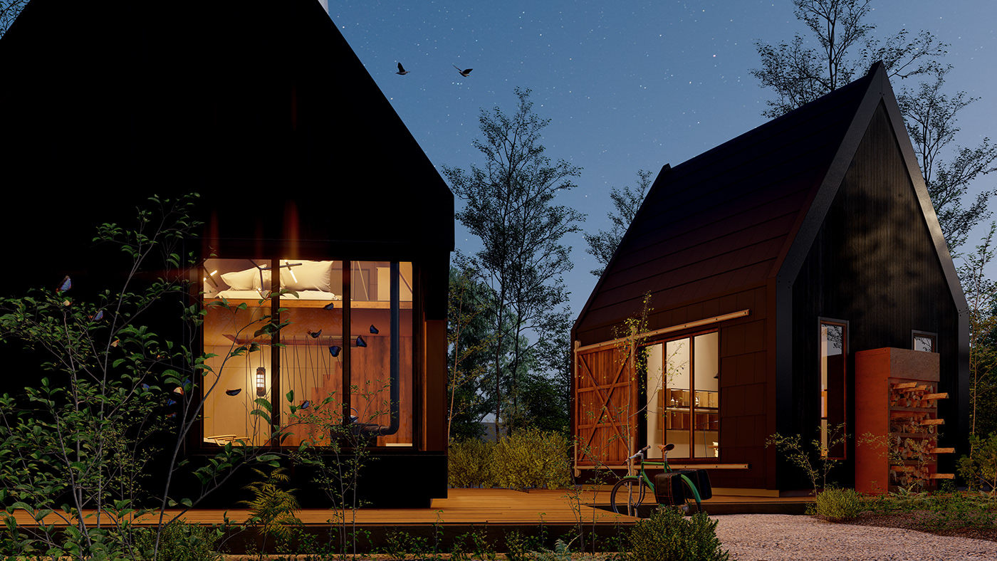 design eco Editing  exterior houses Landscape video