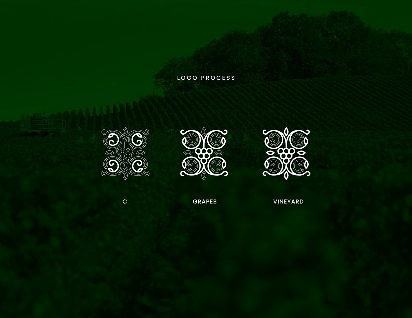 branding  cuvee green logo philippines wine