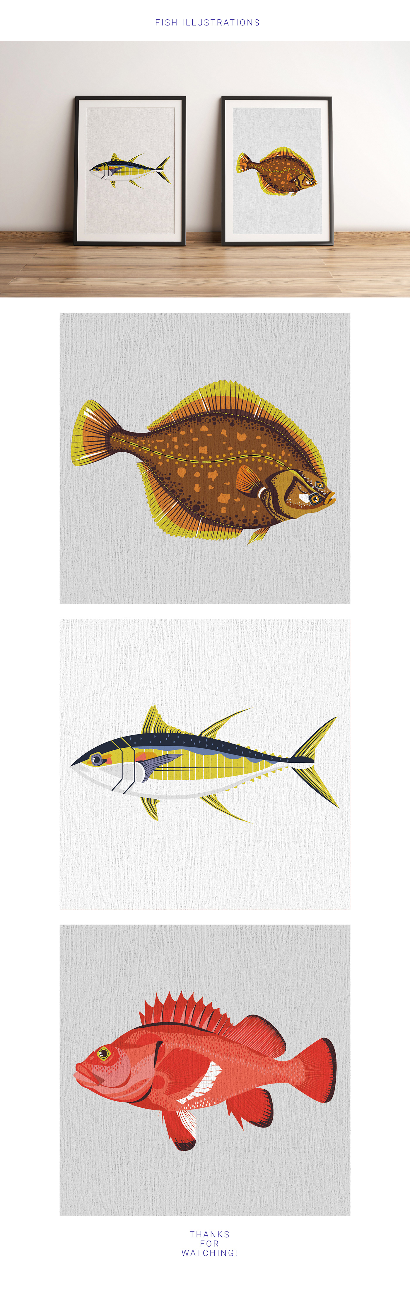 digitalart fishillustration fishposter graphicdesign poster vectorart Vectorillustration