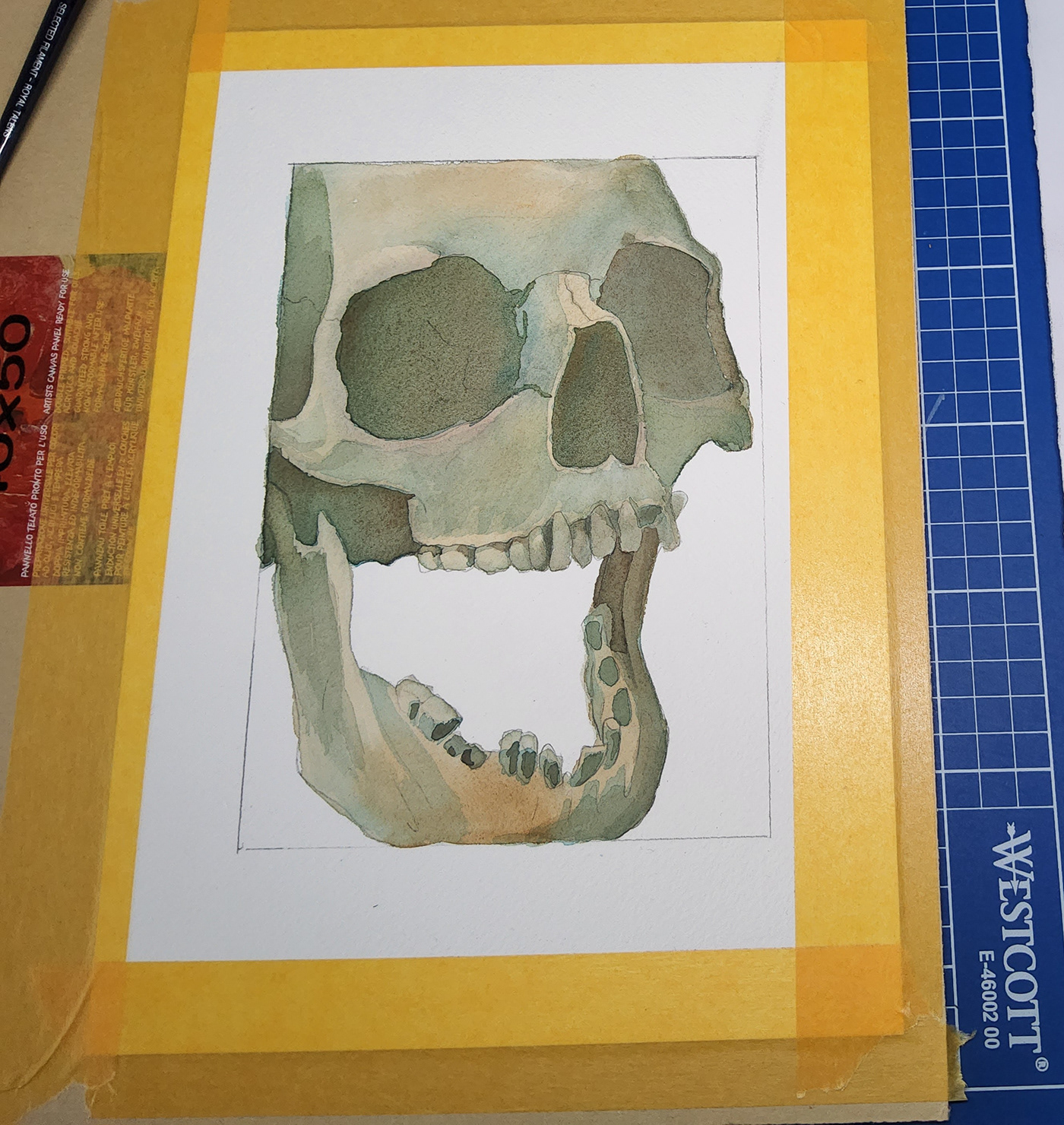 skull watercolors Watercolours artstudy darkart aquarell