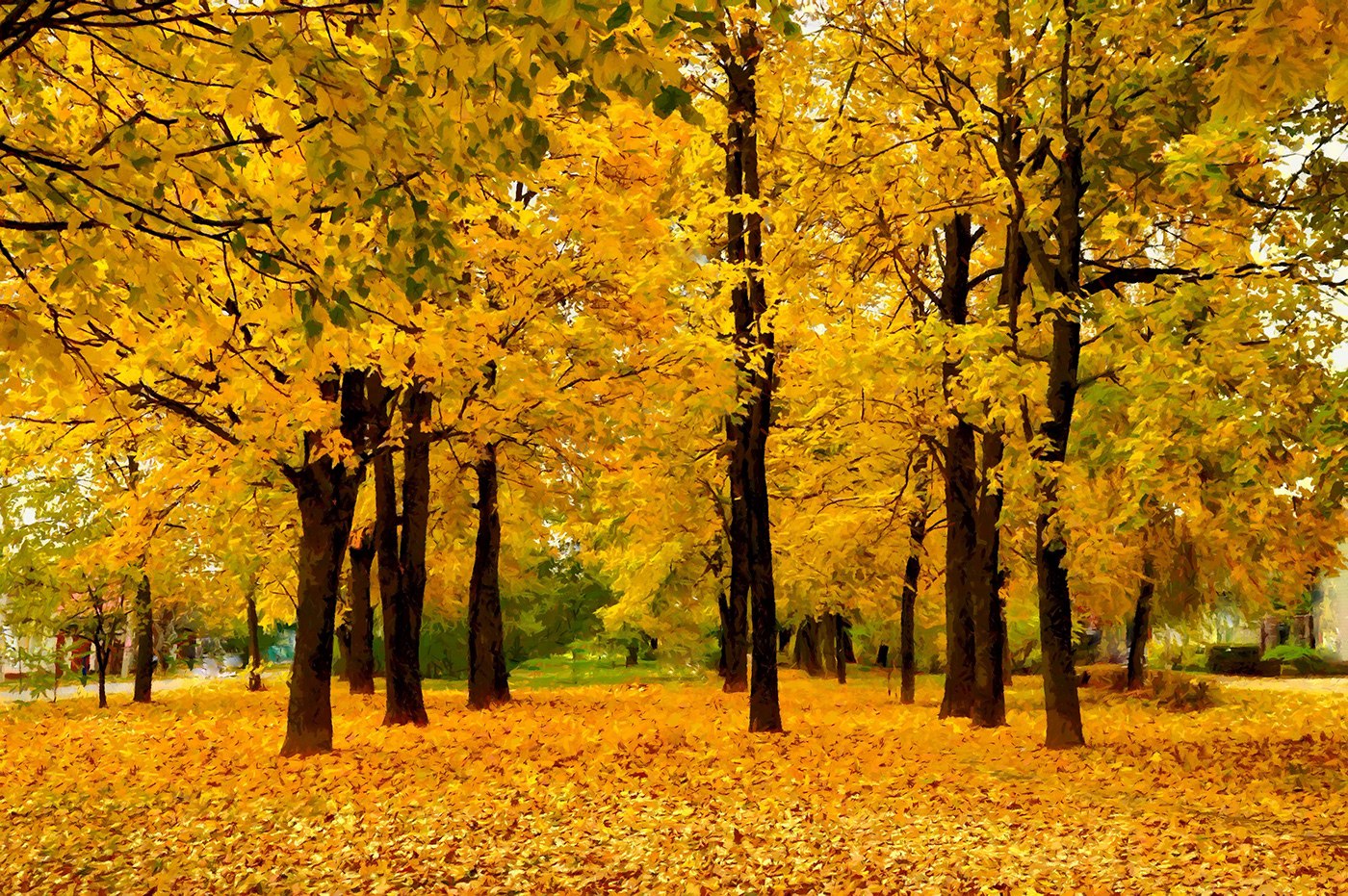 art autumn digital digital painting fallen leaves Golden park ILLUSTRATION  Landscape Nature painting  