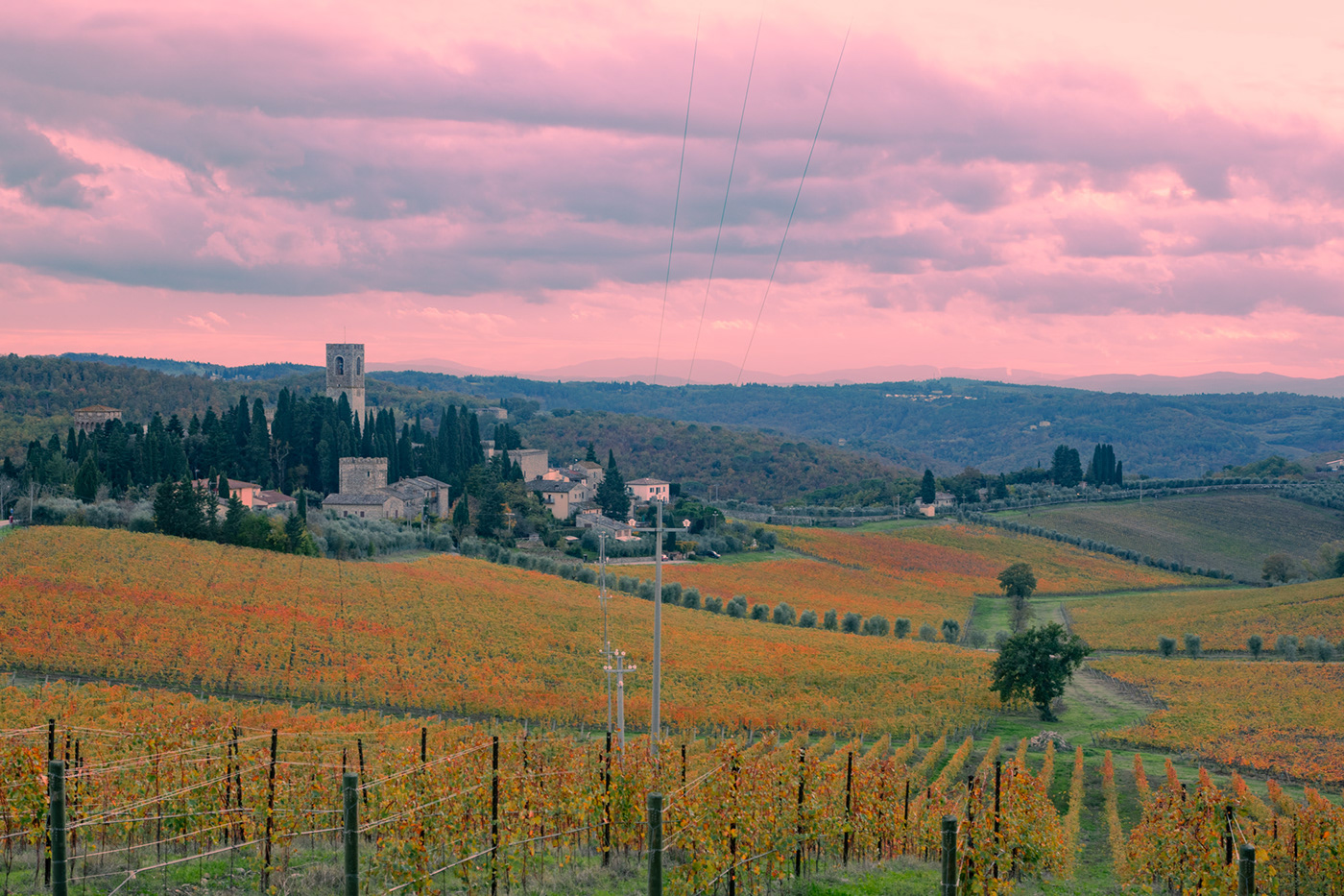 Terroir autunno Nature Landscape Photography  color Tuscany countryside vigne vigneti in autunno
