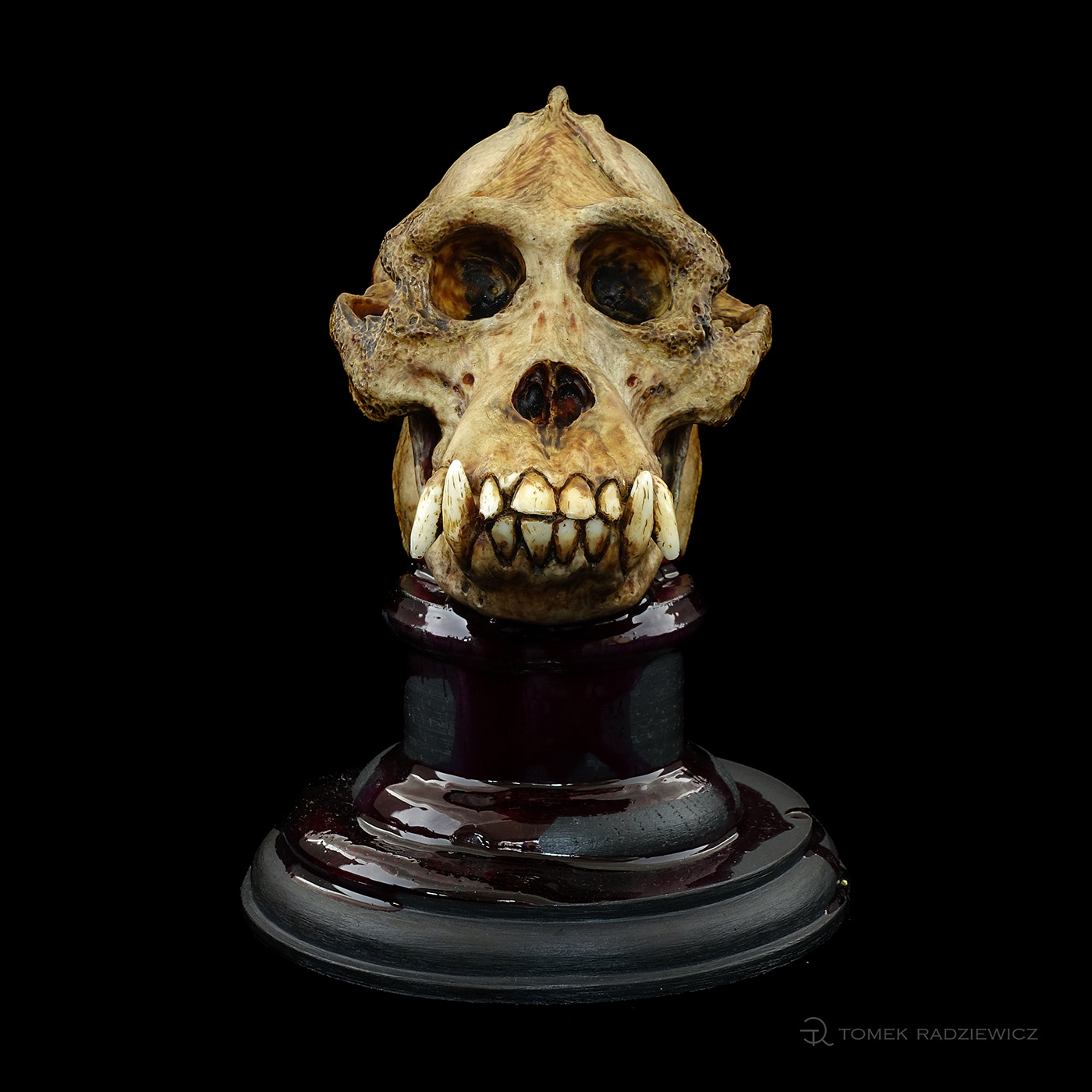 characterdesign orangutan sculpture skull
