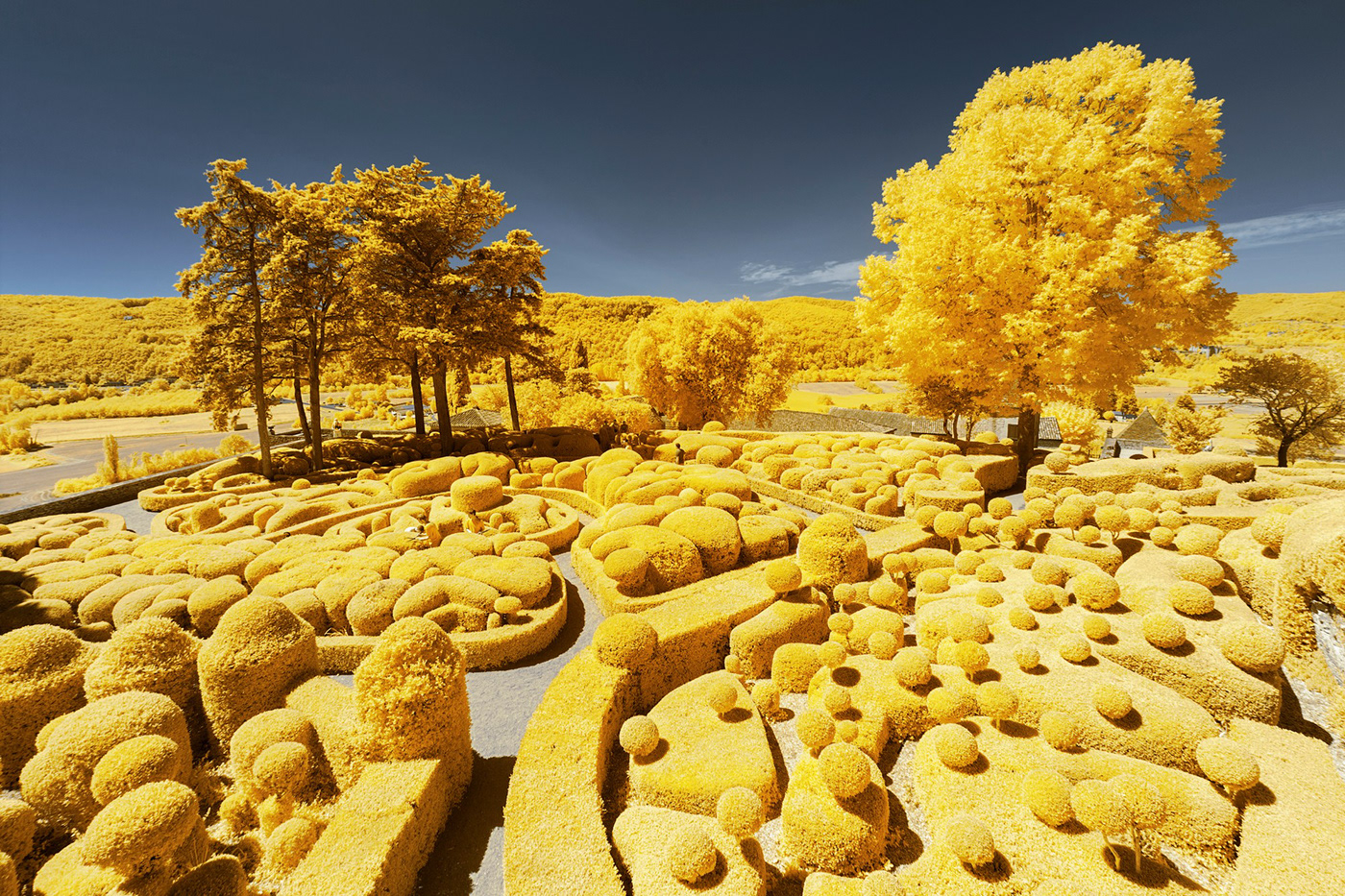 infrared garden gold Nature sculpture france Full-Spectrum digital infrared invisible yellow