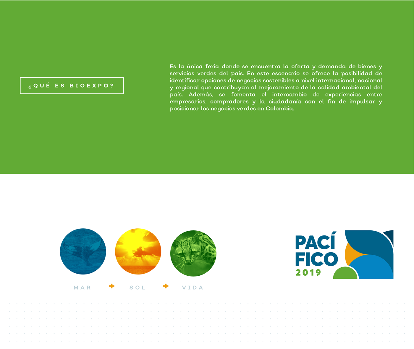 Branding Concept colombia dirección de arte Diseño de Marcas marcas medio ambiente rebranding