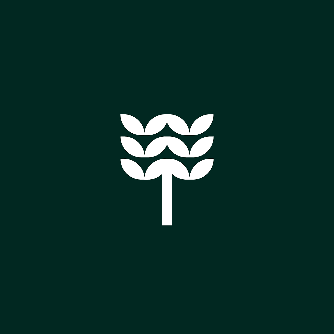logo Logo Design brand identity branding  Brand Design