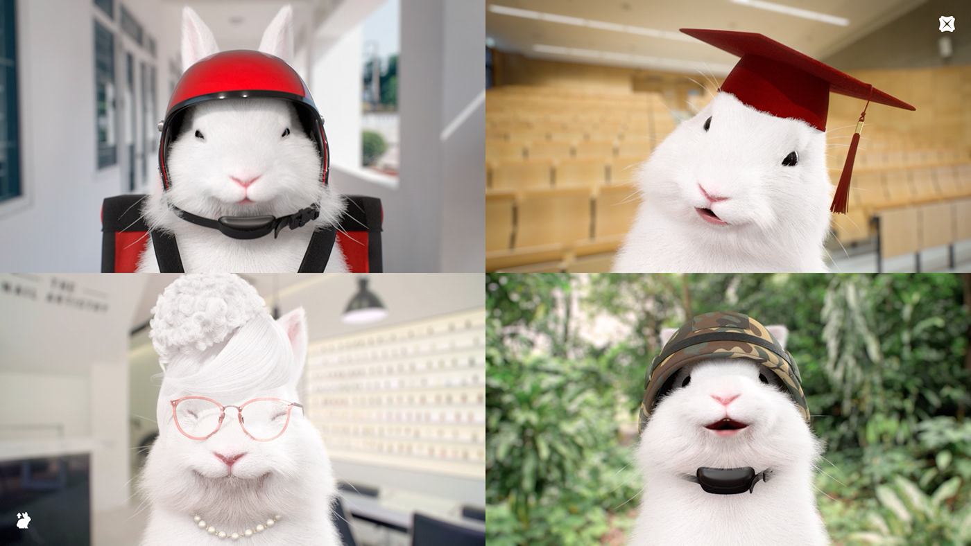 account army Bank bunnies bunny multiplier rabbit retiree savings student