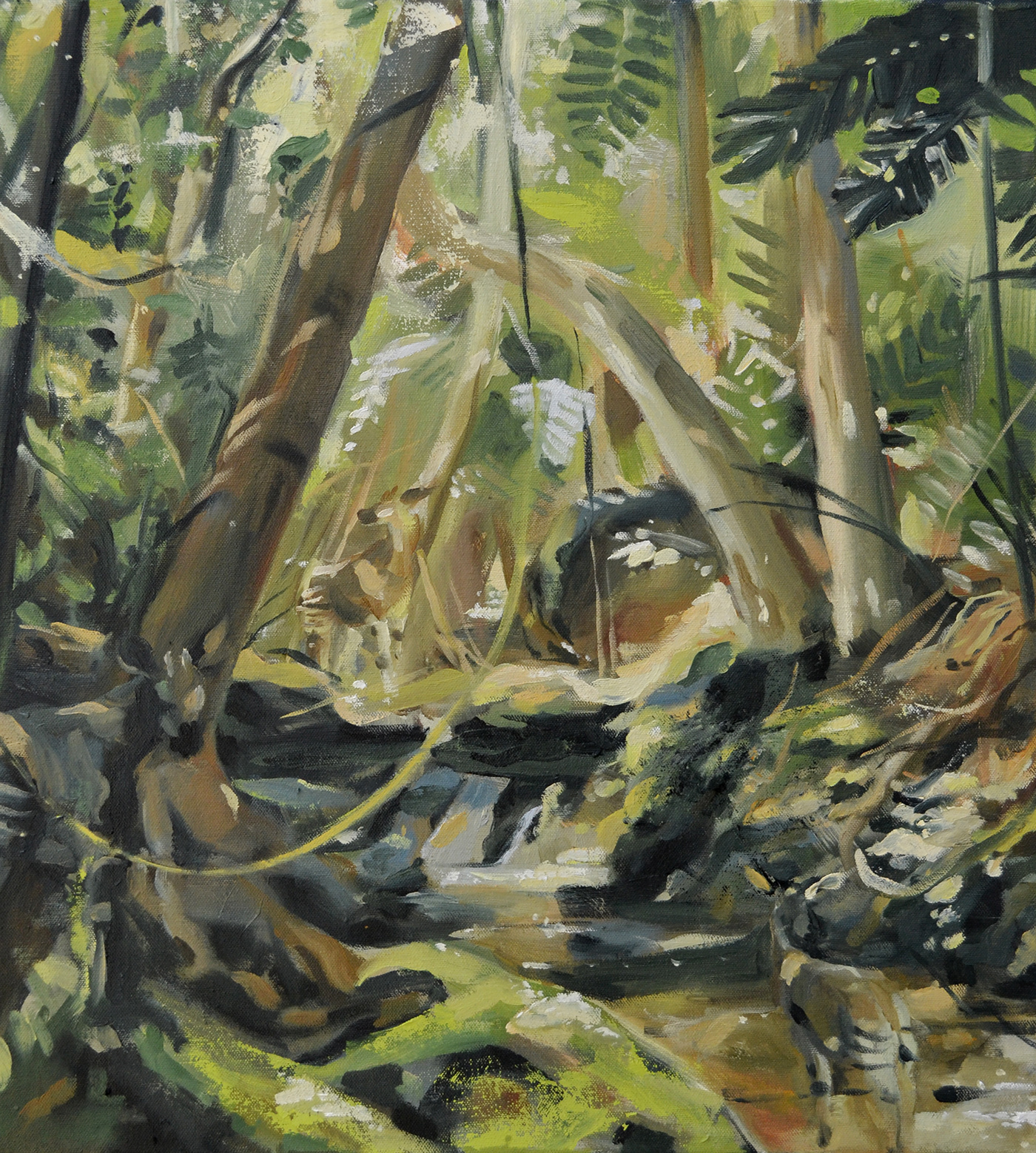 okapi rainforest Nature painting   paint Oil Painting Oils africa animals ILLUSTRATION 