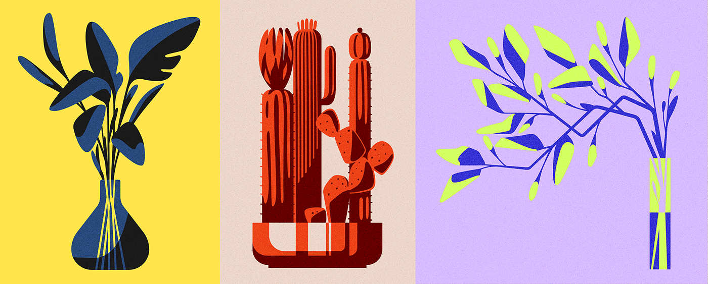 Various plants drawn in a minimalist and modern style