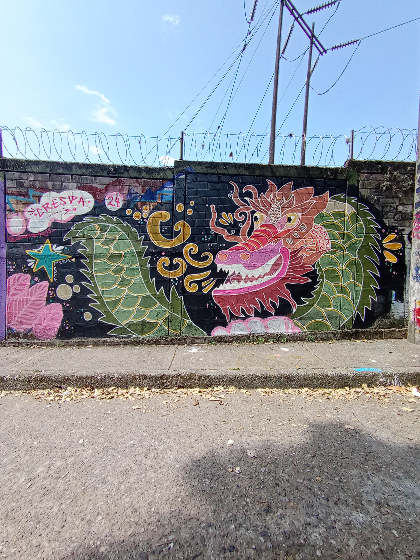 arte urbano graff Graffiti ilustracion Mural Nature pintura streetart murales dragon