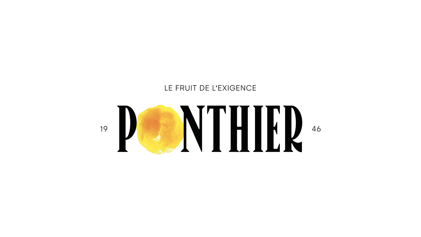 brand branding  Food  Fruit graphic design  logo Logotype Packaging ponthier