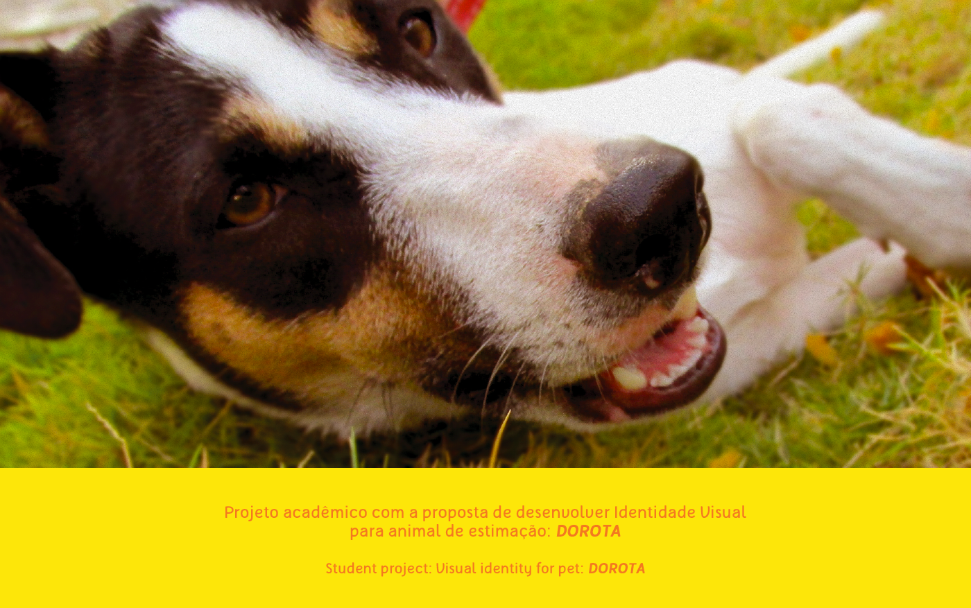 animal student print dog identity creative brand Pet pantone petshop