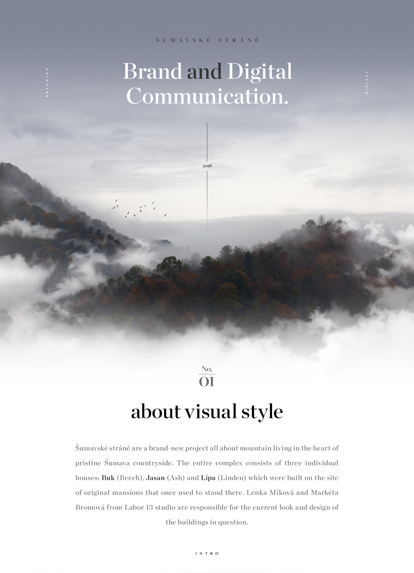 ux/ui Webdesign branding  motion art direction  graphic design  Corporate Identity Nature sumava Forests