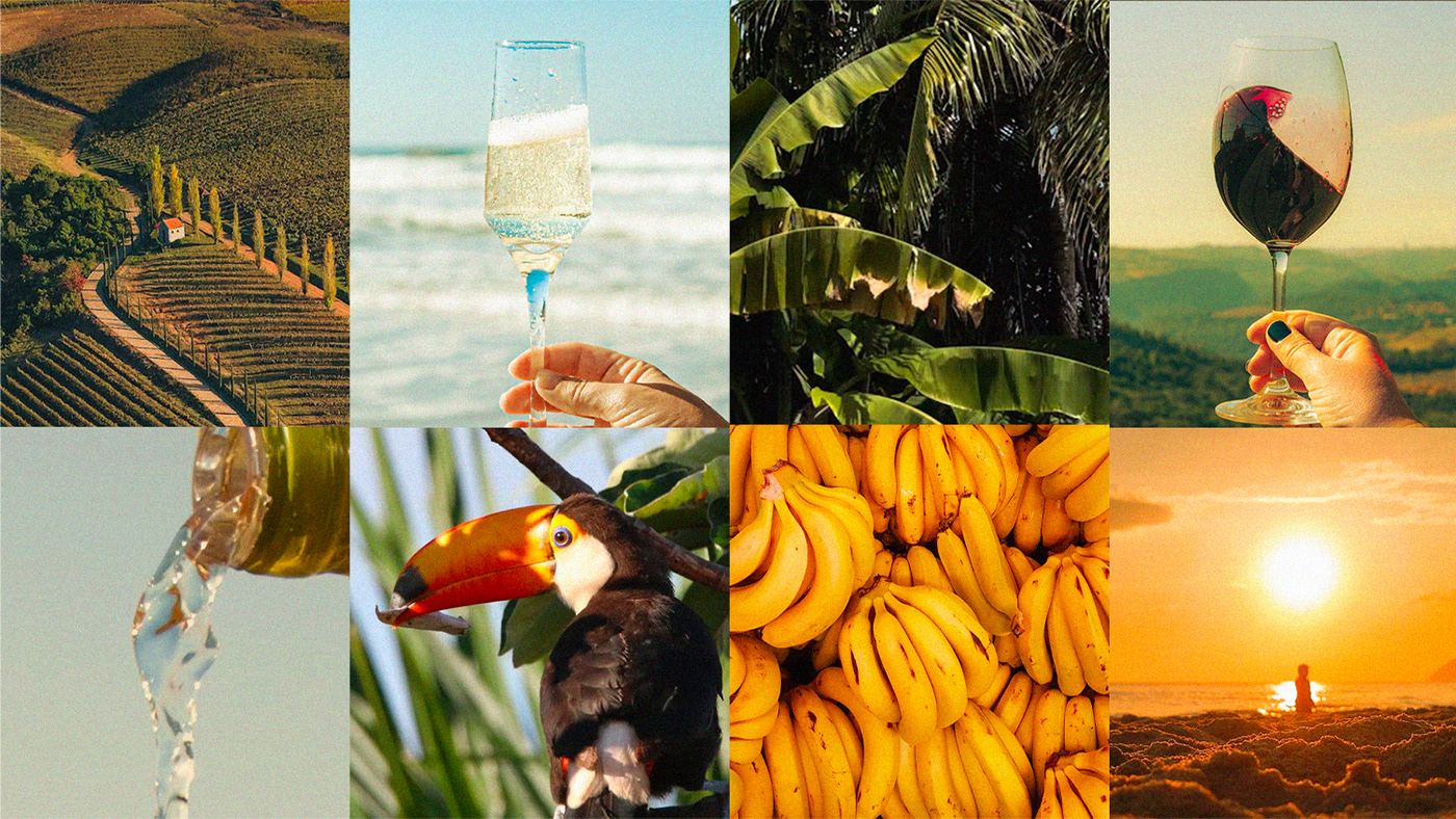 Brasil Brazil brasilidade Tropical wine vinho campanha espumante identity motion