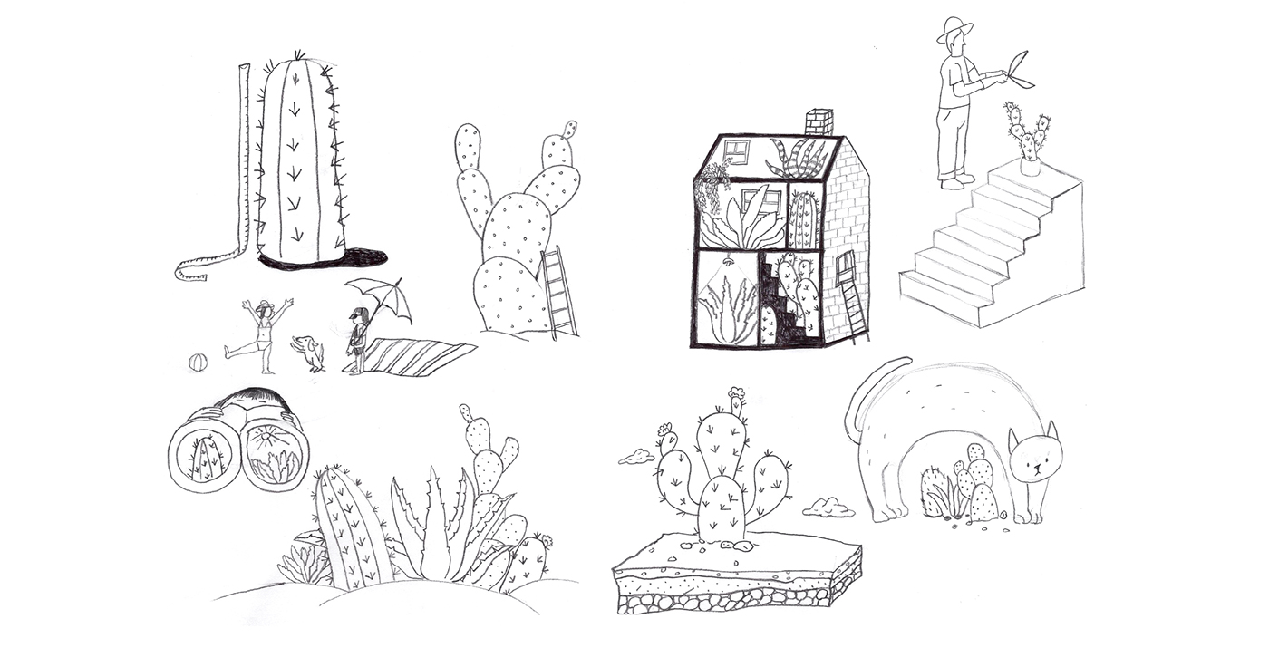 Web UI Webdesign Succulent cactus Plant adobeawards