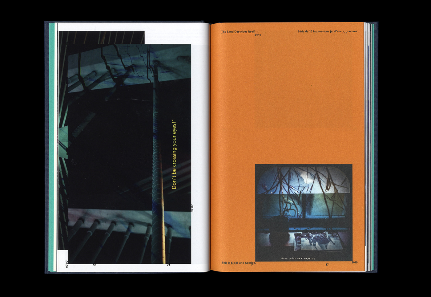 art artist book book design editorial design  gallery montage Poetry  typography   video