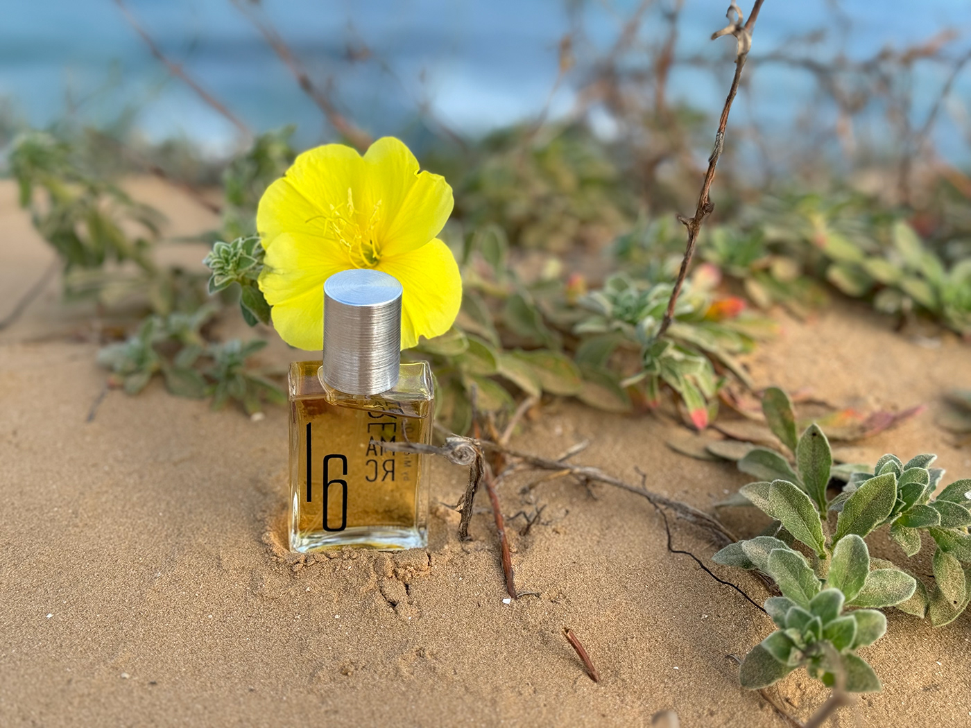 perfume israel israeli Israeliperfume perfume Israeli Remarc