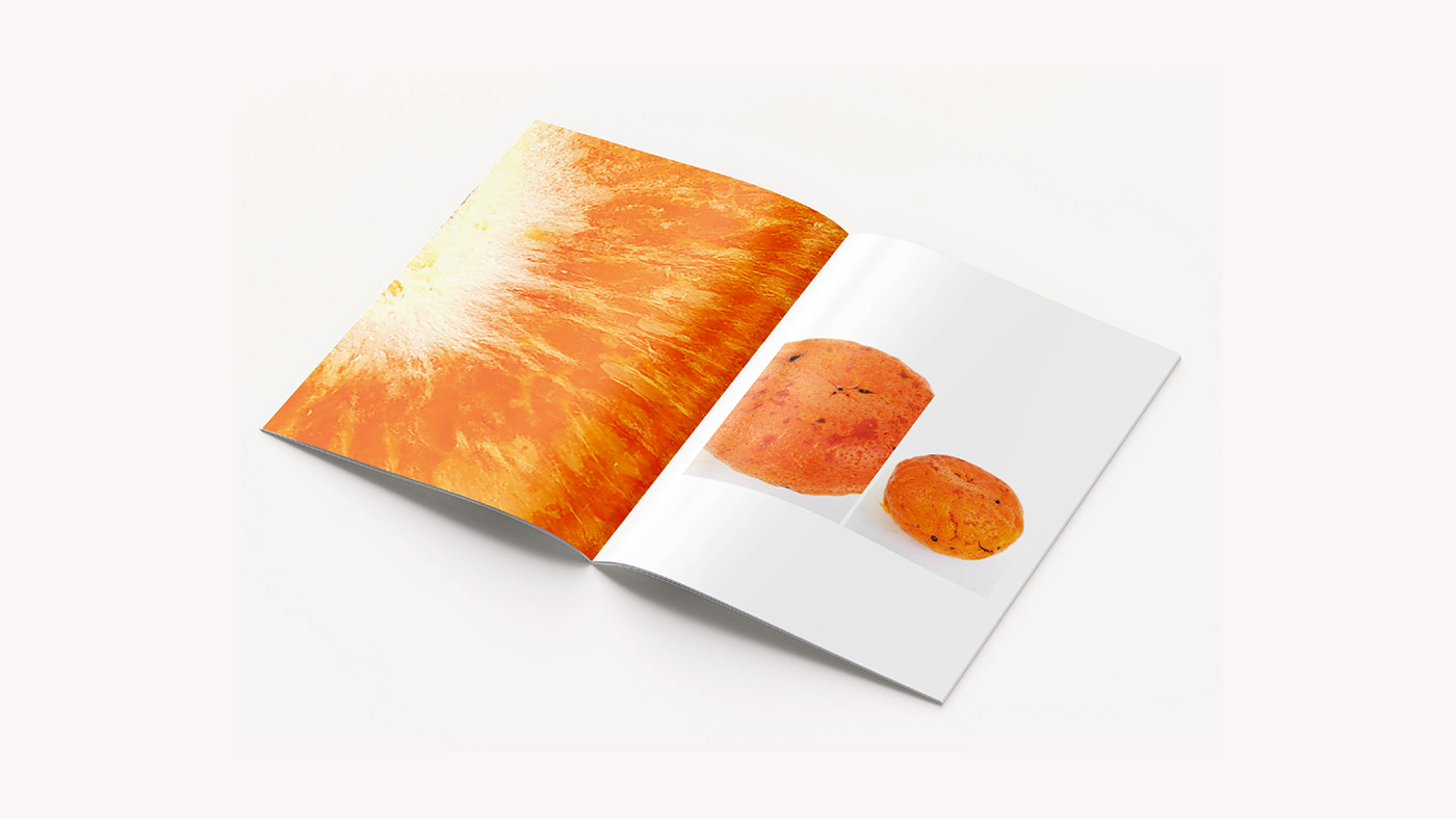 Fotografia Diseño editorial editorial Photography  Fotografía de producto fotolibro photobook book design print brochure