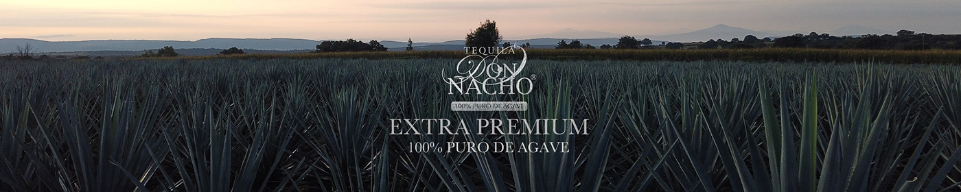 ads agave BARRICA branding  Guadalajara jalisco liquor social media Spirits Tequila