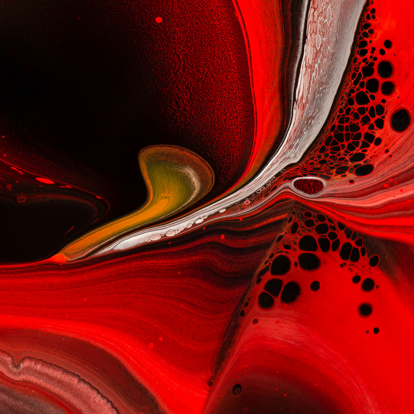 painting   FINEART fluidity