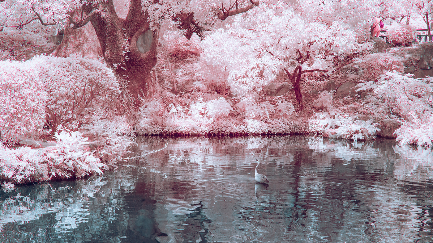 asia fukuoka infrared Infraredphotography japan photograph photographer Photography  写真 日本