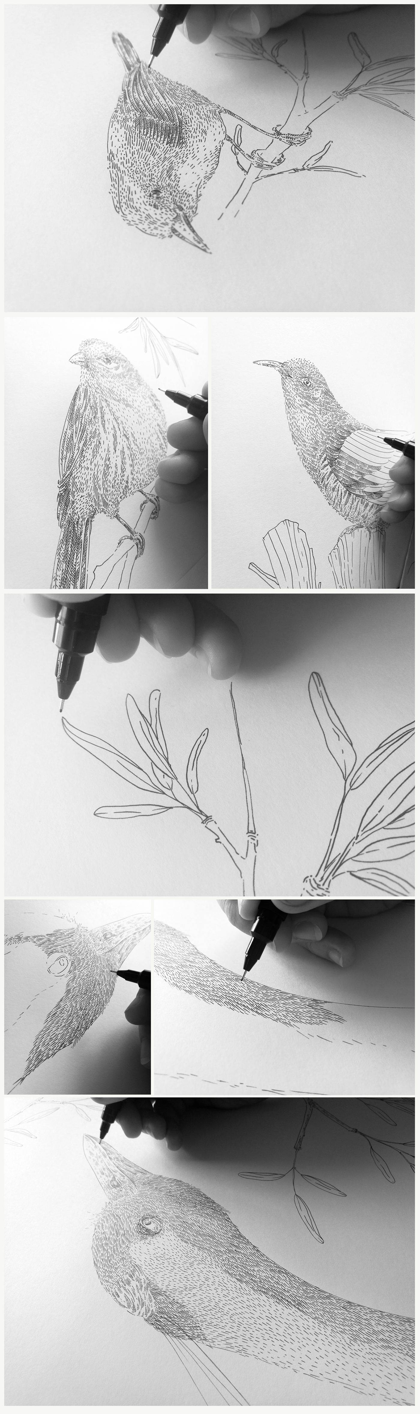 Drawing  hand drawing ILLUSTRATION  birds Marker ink composition white&black grayscale paper