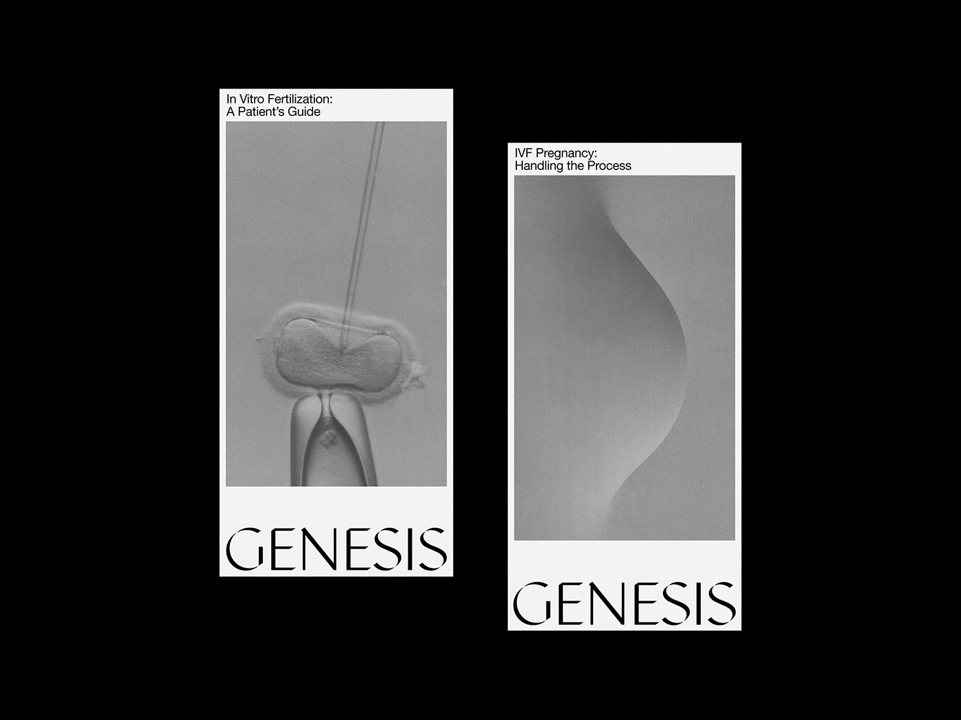 black branding  clinic fertility identity poster print redesign visual Website