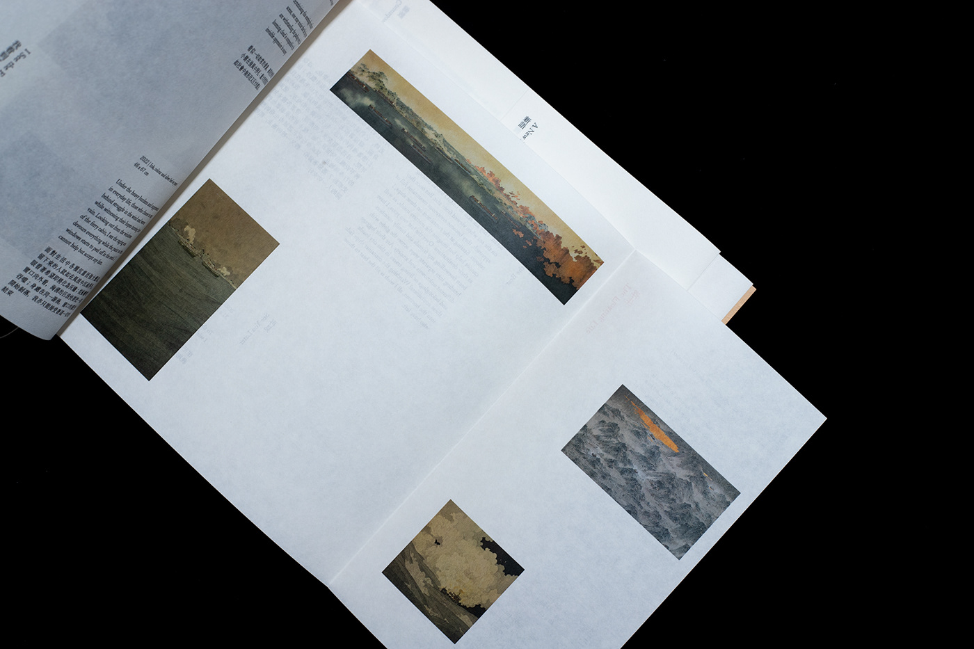 art book book design brochure Chinese painting design Japanese Painting Layout painting   publication