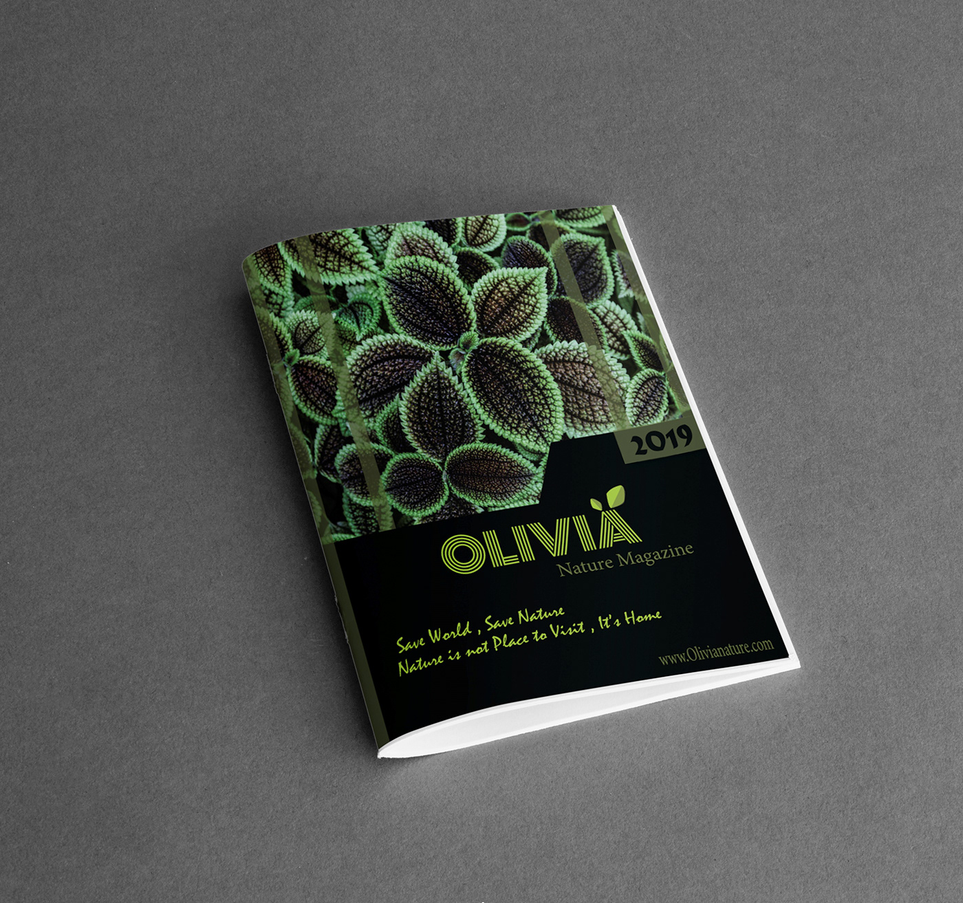 olivia cover magazine Nature flyer mochup colour Hunt unsplash