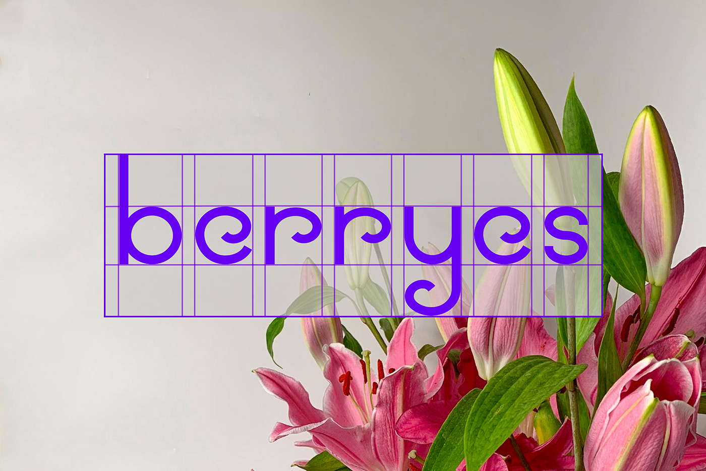 фирменный стиль айдентика логотип Logotype brand identity branding  berries berry ягоды  лого