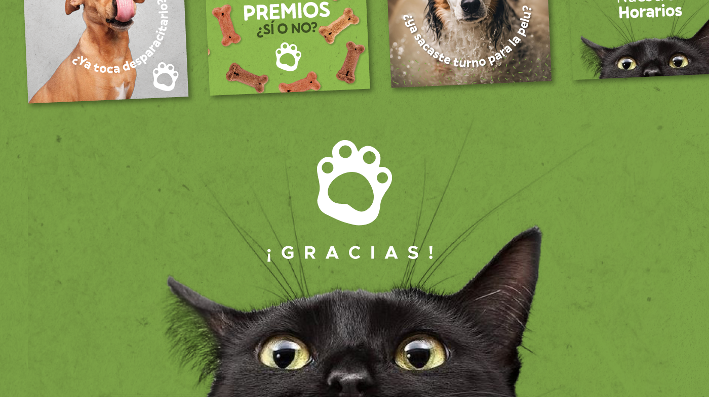 veterinaria pet shop tienda de mascotas Clinica de Mascotas Logo Veterinaria  logo petshop redes petshop veterinaria argentina