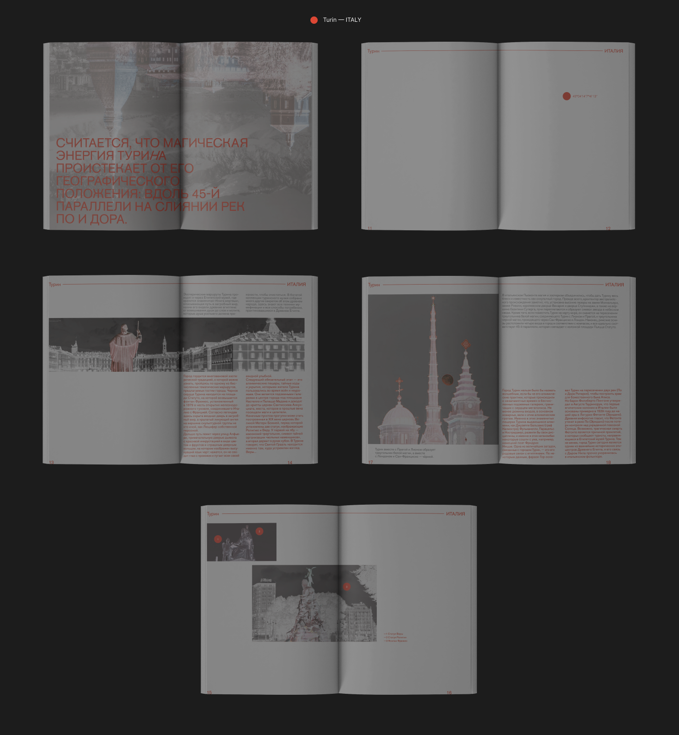 design book typography   Graphic Designer InDesign photoshop Illustrator magazine
