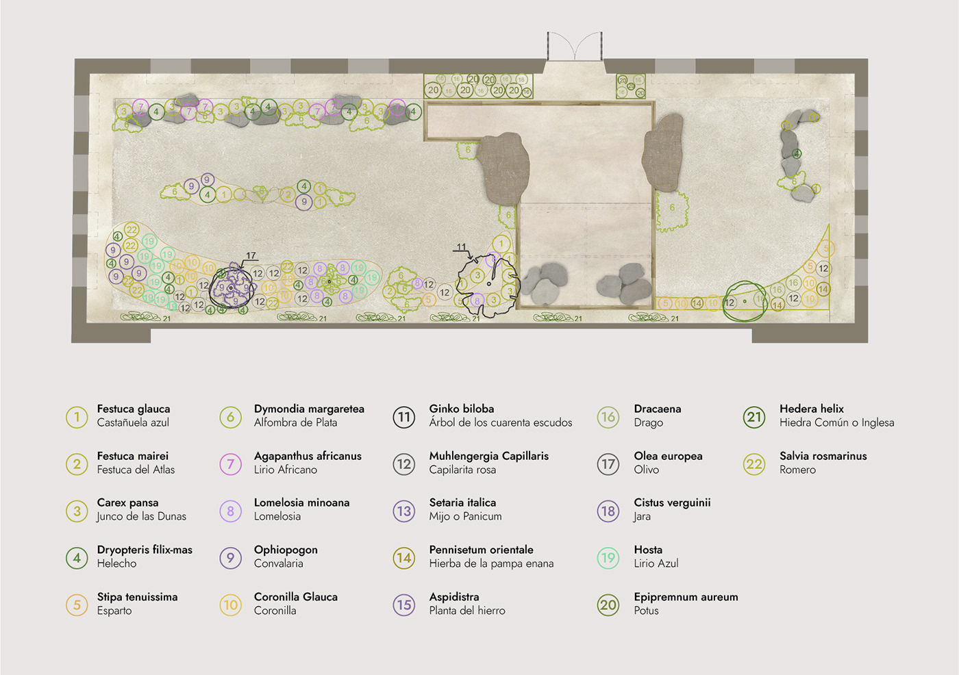 garden design architecture graphic design  Experience