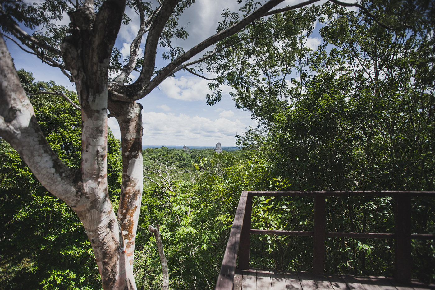 Guatemala mayan National Park Tikal