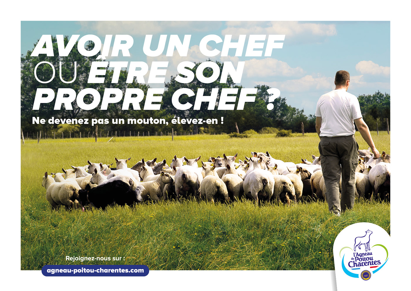 campagne Advertising 