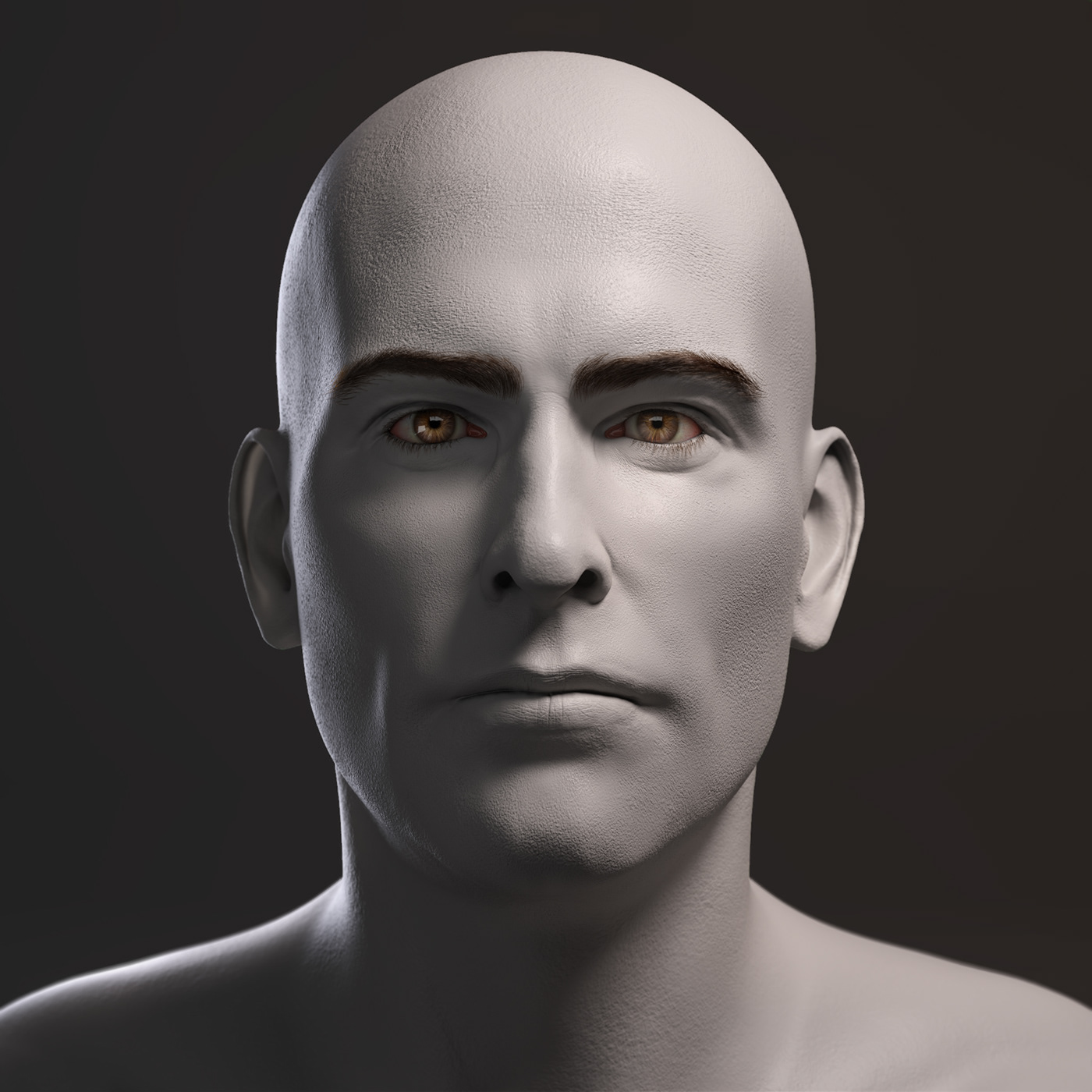 face head male sculpture hair brown anatomy skull bone eye
