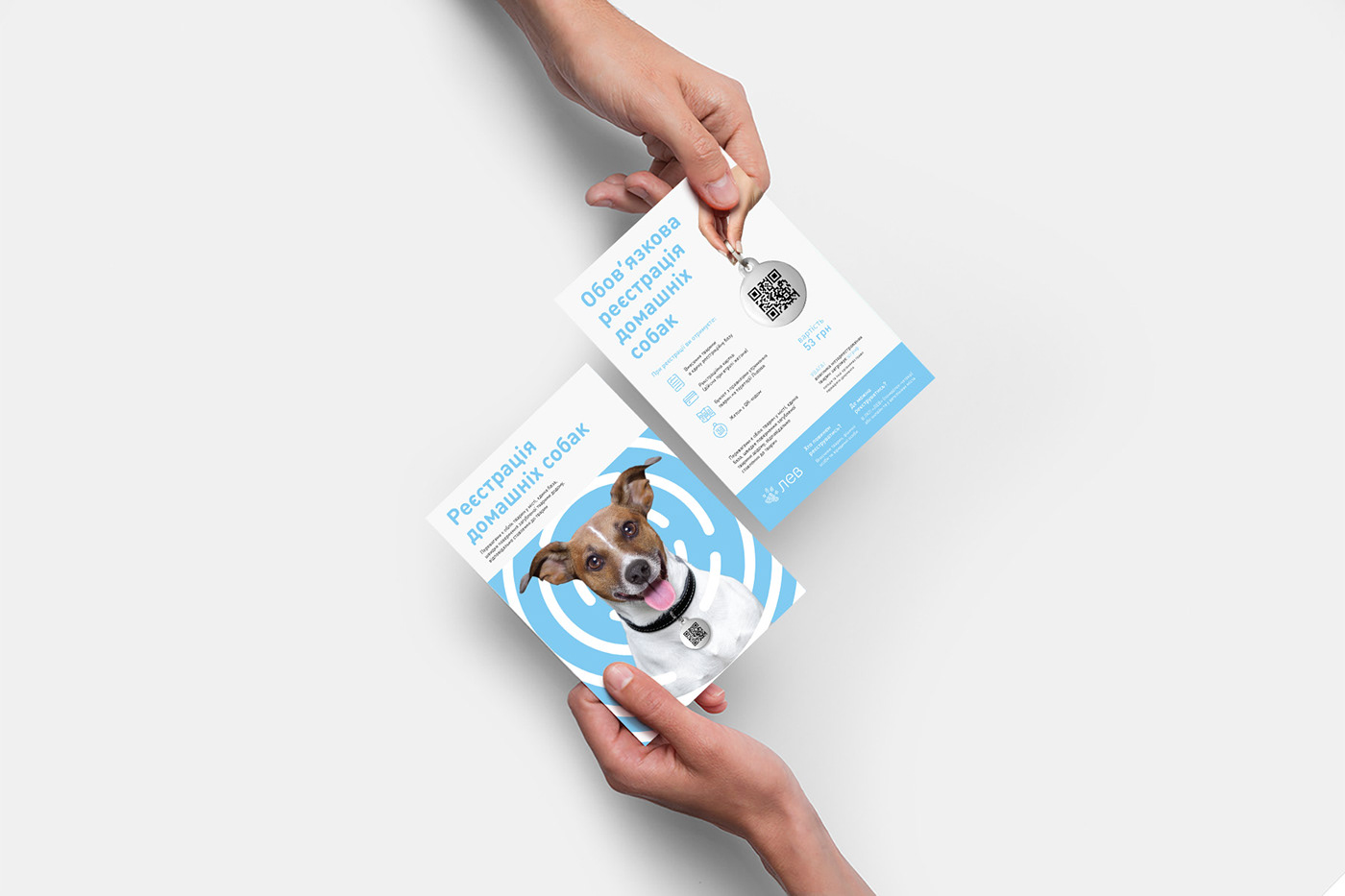 shelter dog Cat branding  fingerprint Medecine identity graphic design  home adopt
