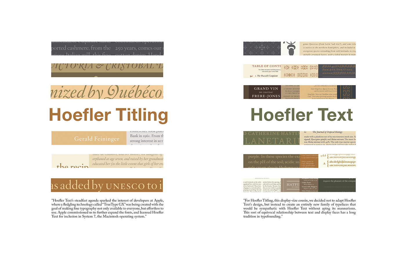 Adobe Portfolio Zine  print design  typography.com hoefler&co jonathanhoefler gotham Didot