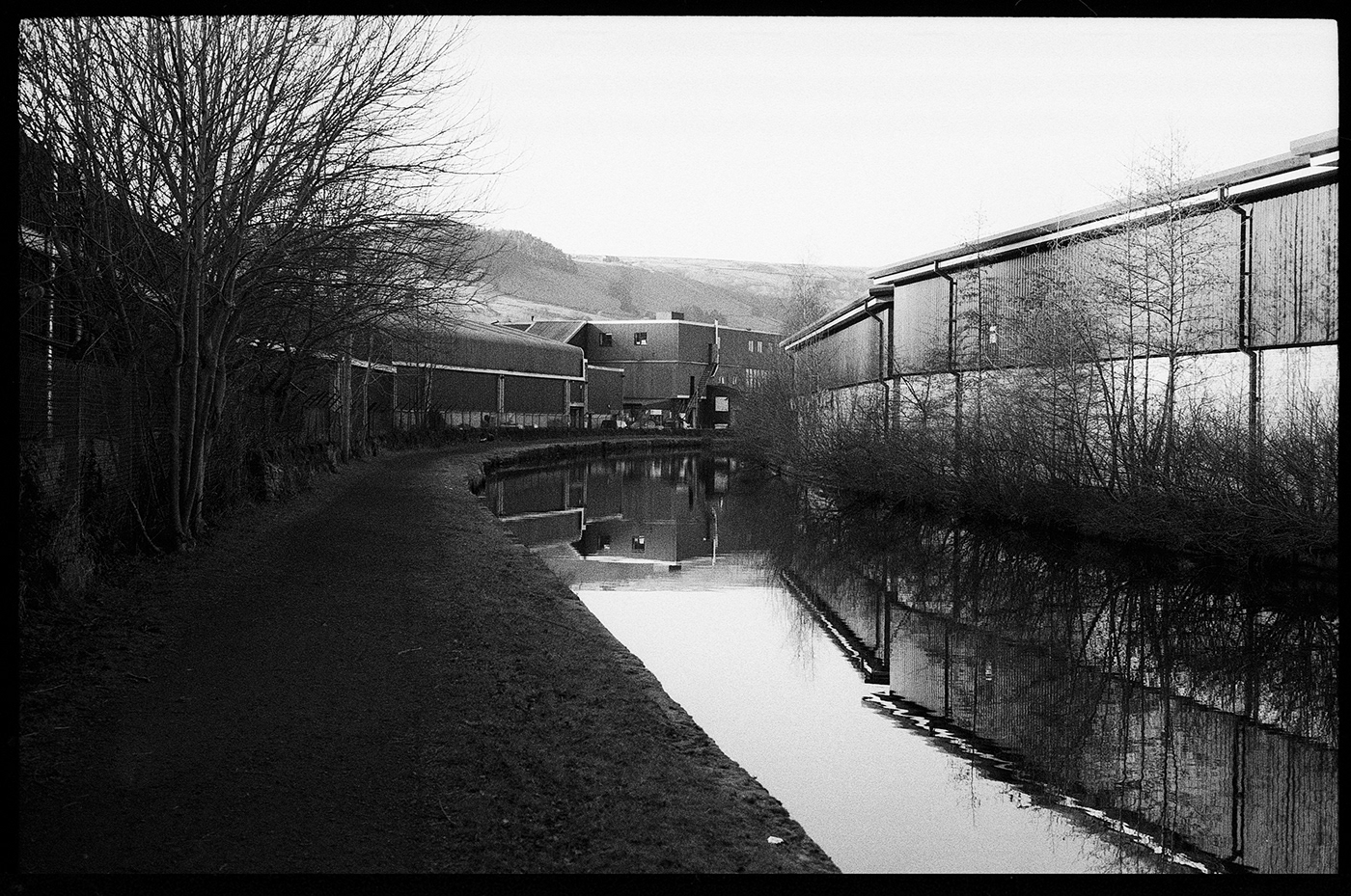 black and white canal film photography landscape photography Leica LeicaM6 Nature noir woodland yorkshire