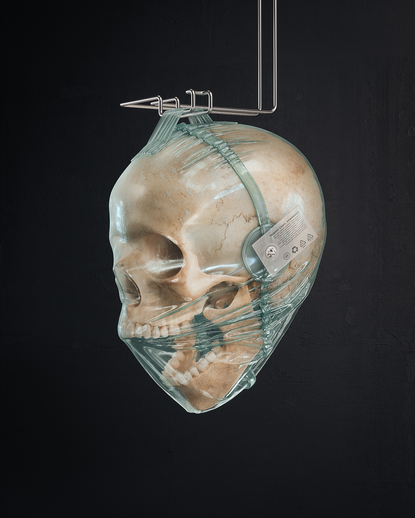 3D animation  bones death gif life loop people plastic