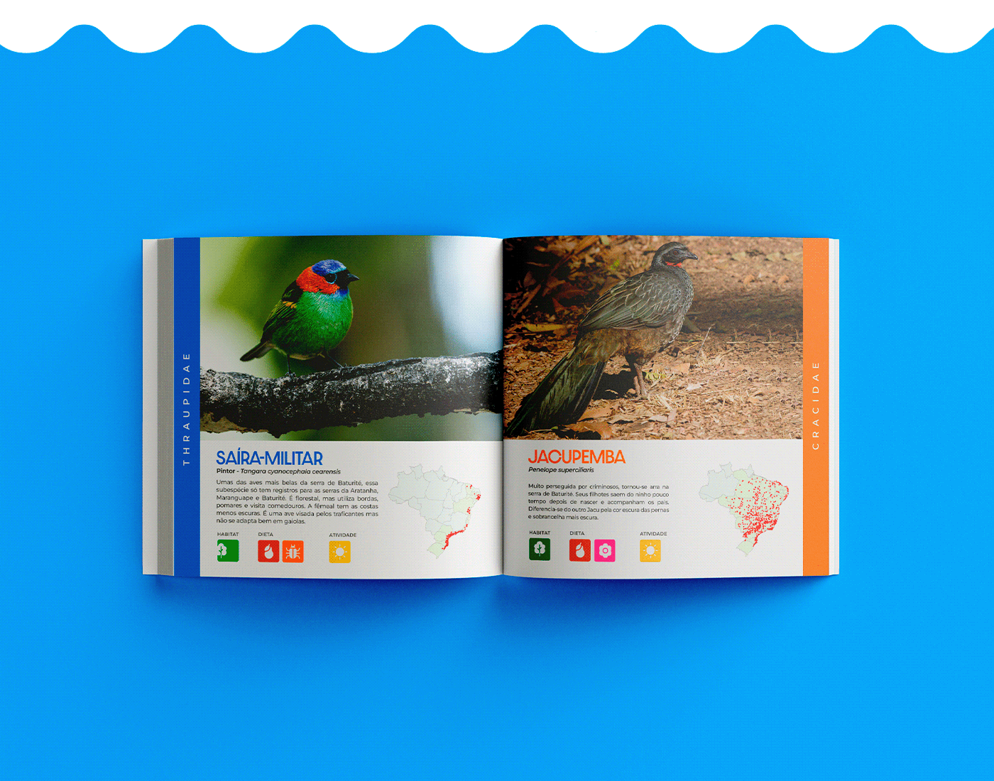 Brazil Adobe Photoshop aves Livro diagramação design gráfico identidade visual Brasil Turismo 7 de setembro