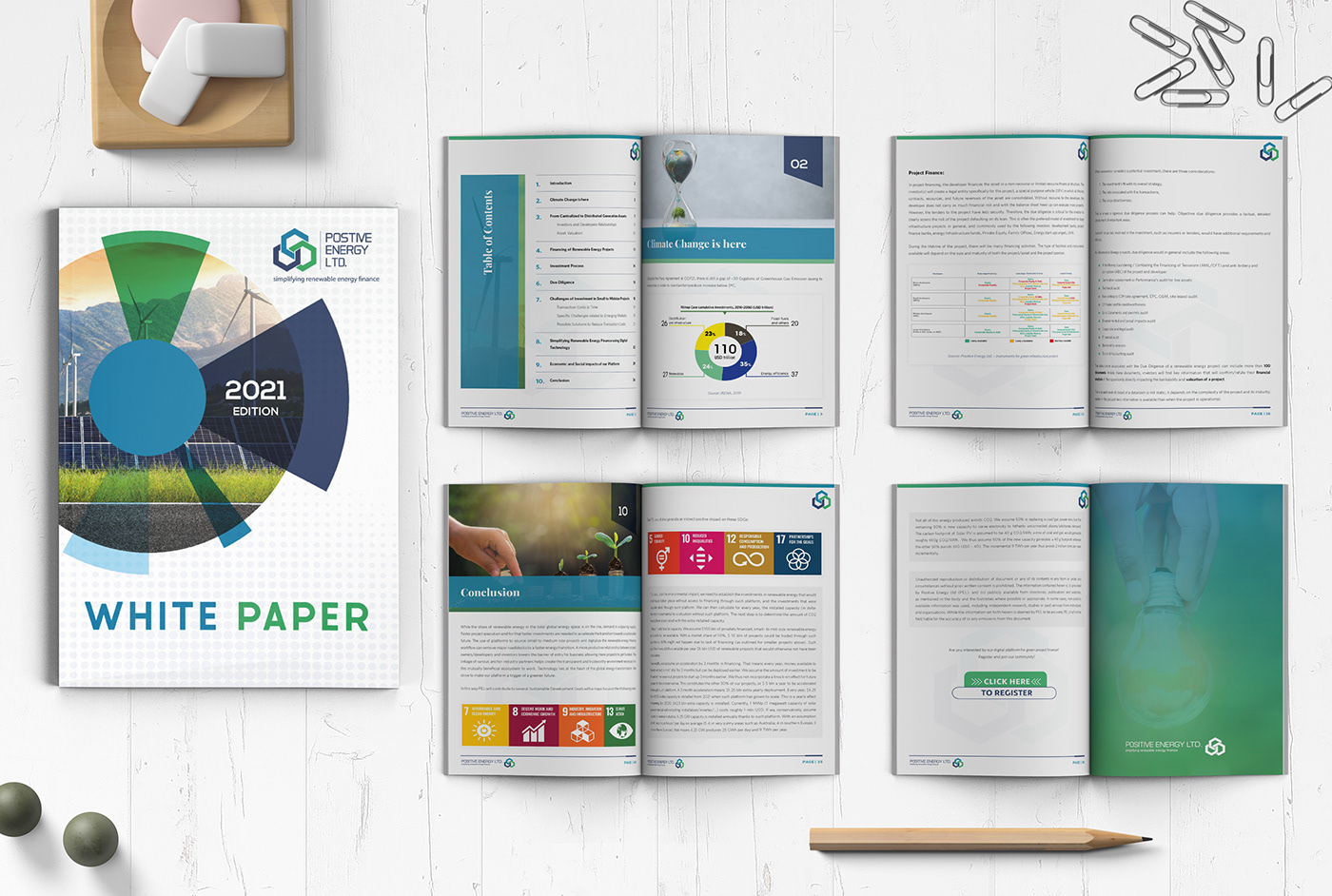 annual report book cover book design book formatting business document corporate report document typesetting Interactive Document PDF design Print Book