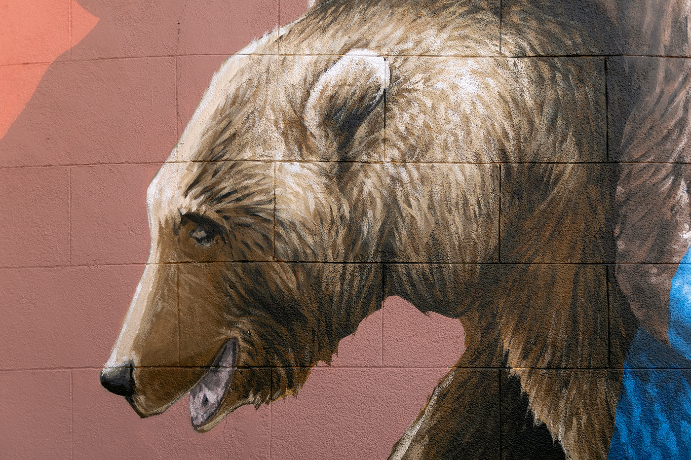 bear bears leaf madrid spain streetart