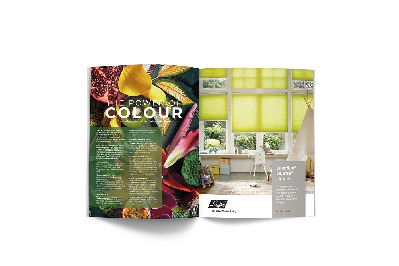 design Layout magazine ILLUSTRATION  plants lifestyle goodtaste