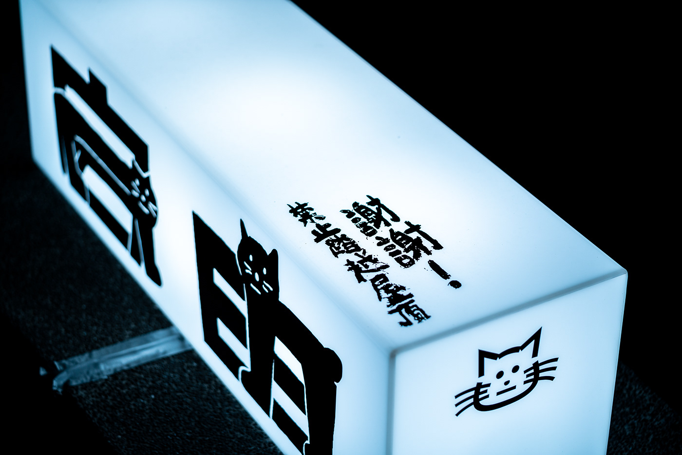 Cat display typeface font design hanzi light Typeface typography   字體設計 漢字