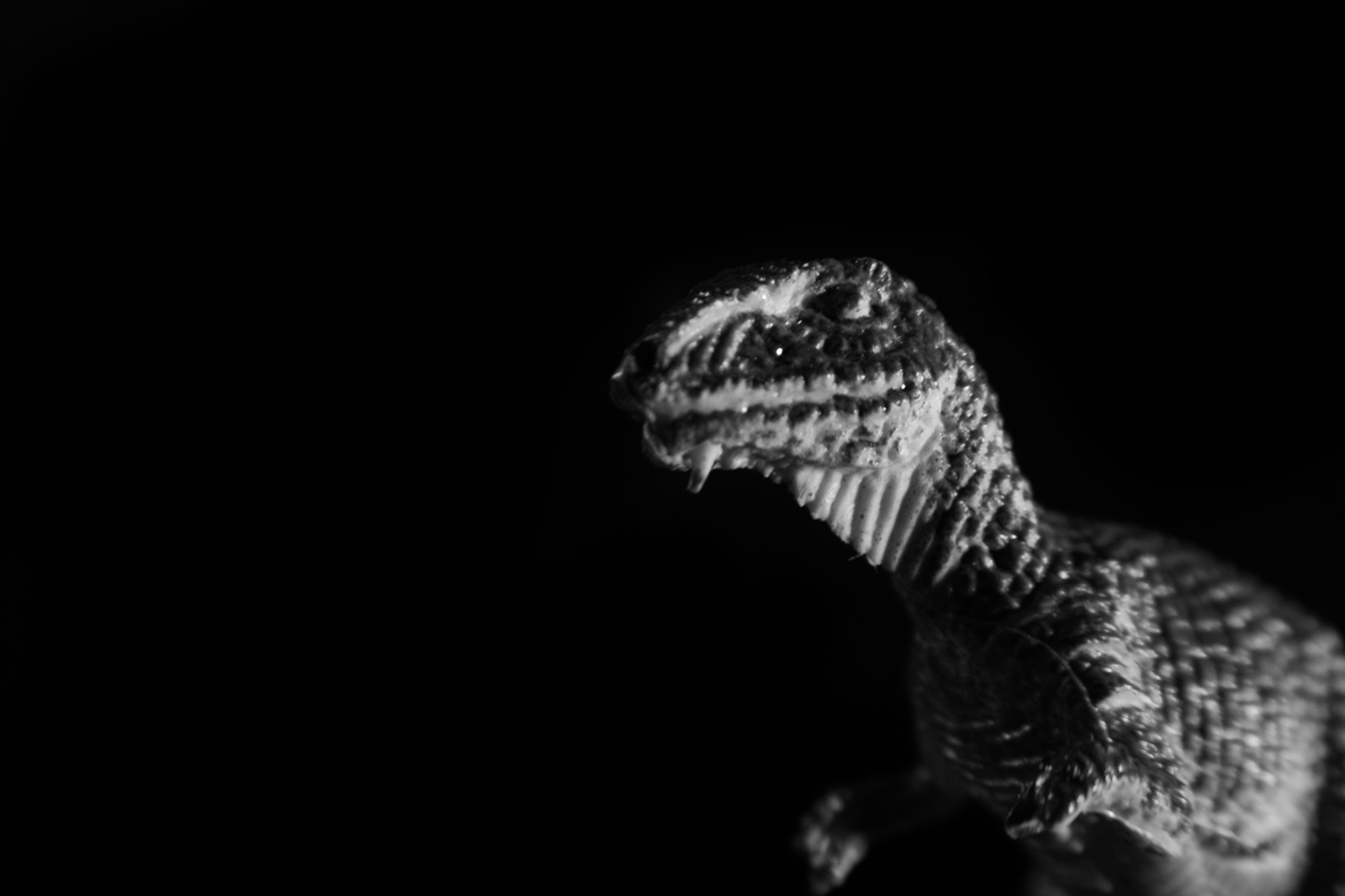 MINI toy astronaut Dinosaur cave man photo black and white