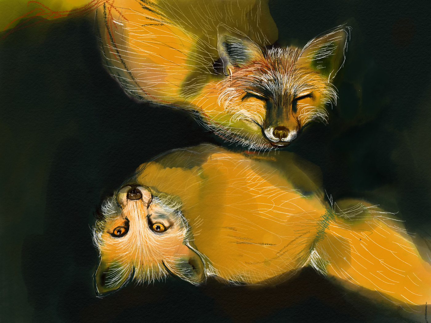 Adobe Portfolio tiger Dinosaur owl animals sketches ipad pro apple pencil Digital Drawing