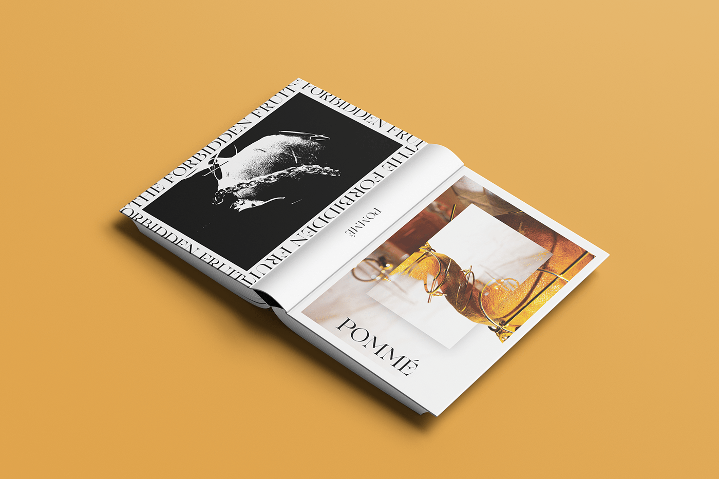 book design graphic design  layouting Photography  Product Photography publication publication design